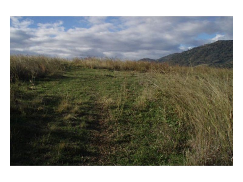 ALLAWAH, Tamworth NSW 2340