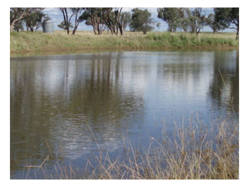 PHILLIP LANE, Tamworth NSW 2340