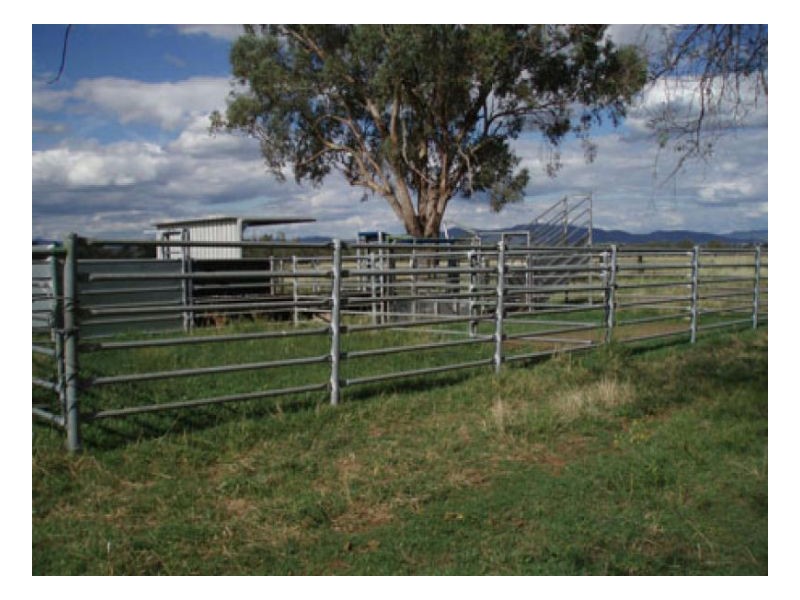 PHILLIP LANE, Tamworth NSW 2340