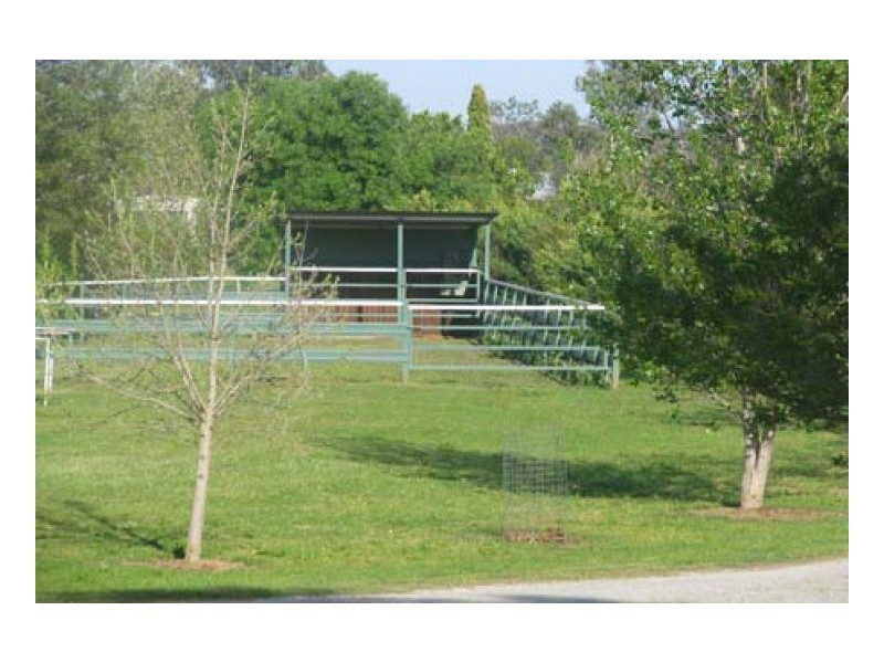 BRONZEWOOD, Tamworth NSW 2340