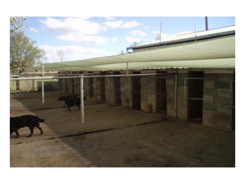 BRONZEWOOD, Tamworth NSW 2340