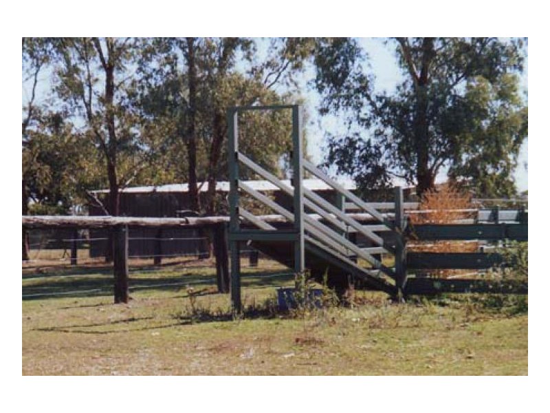 BRONZEWOOD, Tamworth NSW 2340