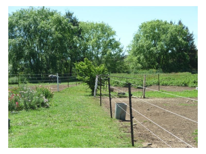 WESTEND – Wallabadah, Tamworth NSW 2340