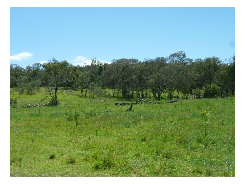 WESTEND – Wallabadah, Tamworth NSW 2340