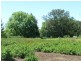 WESTEND – Wallabadah, Tamworth NSW 2340