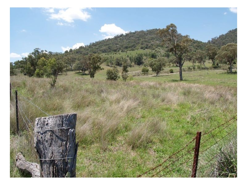 EL COSTA GROVE, Currabubula NSW 2342