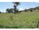 EL COSTA GROVE, Currabubula NSW 2342