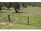 EL COSTA GROVE, Currabubula NSW 2342
