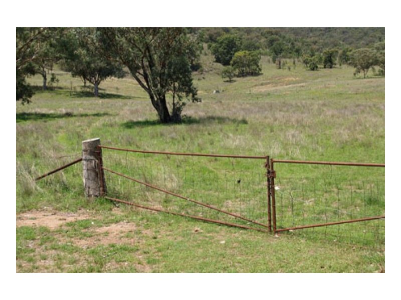 EL COSTA GROVE, Currabubula NSW 2342