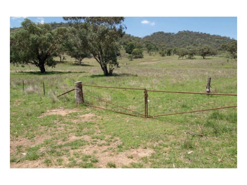 EL COSTA GROVE, Currabubula NSW 2342
