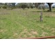 EL COSTA GROVE, Currabubula NSW 2342