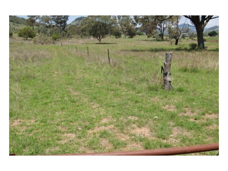 EL COSTA GROVE, Currabubula NSW 2342