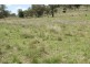 EL COSTA GROVE, Currabubula NSW 2342