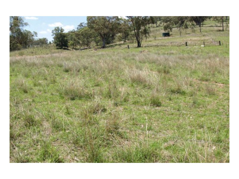 EL COSTA GROVE, Currabubula NSW 2342