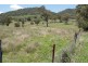 EL COSTA GROVE, Currabubula NSW 2342