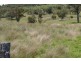EL COSTA GROVE, Currabubula NSW 2342