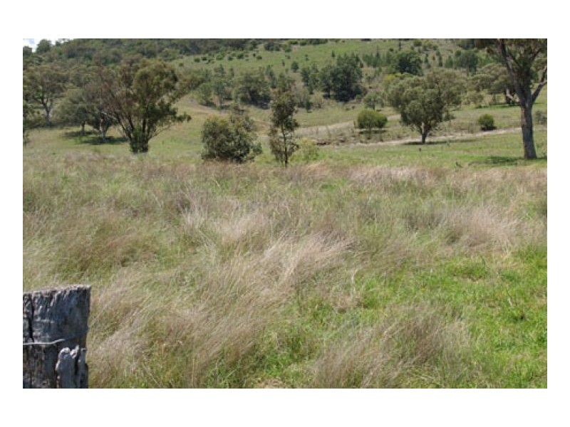 EL COSTA GROVE, Currabubula NSW 2342