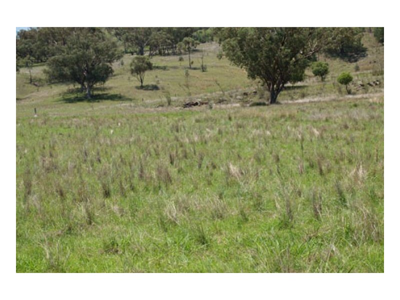 EL COSTA GROVE, Currabubula NSW 2342