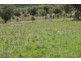 EL COSTA GROVE, Currabubula NSW 2342