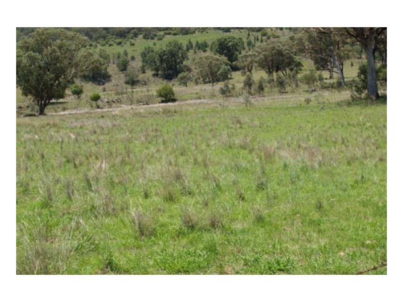 EL COSTA GROVE, Currabubula NSW 2342