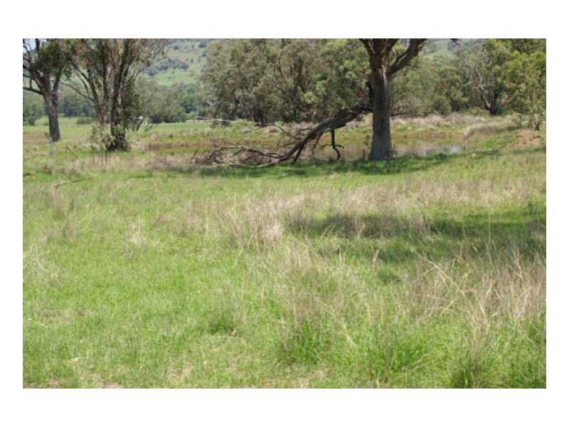 EL COSTA GROVE, Currabubula NSW 2342