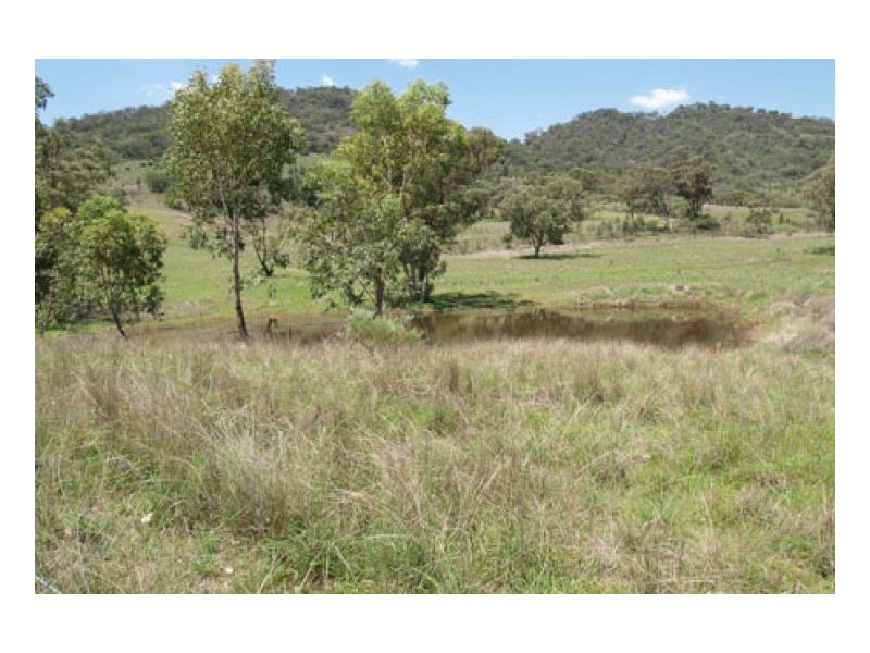 EL COSTA GROVE, Currabubula NSW 2342