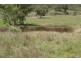 EL COSTA GROVE, Currabubula NSW 2342