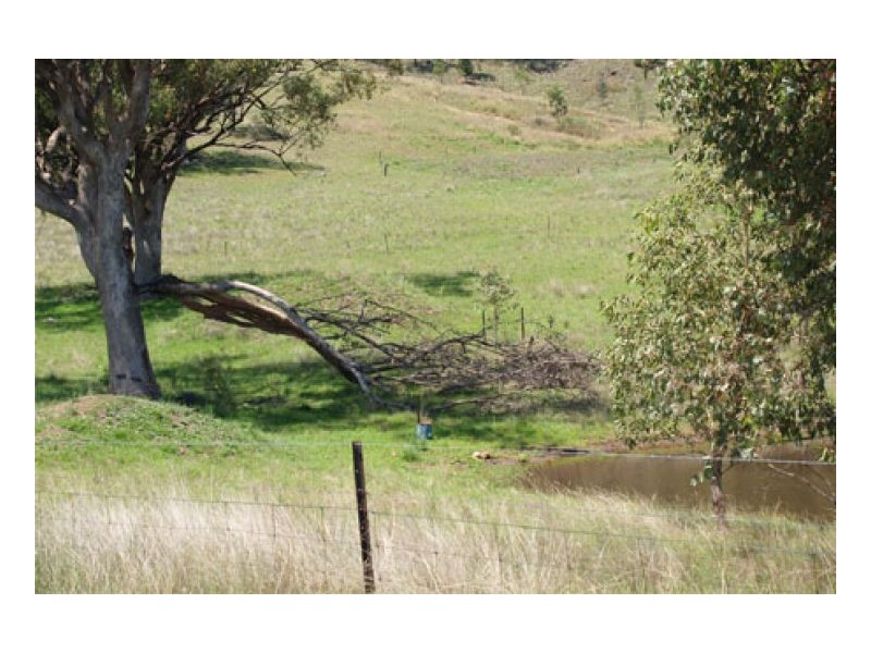 EL COSTA GROVE, Currabubula NSW 2342