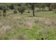 EL COSTA GROVE, Currabubula NSW 2342
