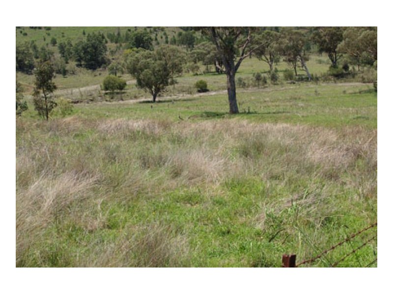 EL COSTA GROVE, Currabubula NSW 2342
