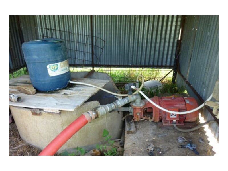 BLACKWATCH GALLAWAY STUD, Tamworth NSW 2340