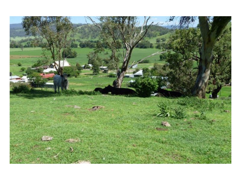 BLACKWATCH GALLAWAY STUD, Tamworth NSW 2340