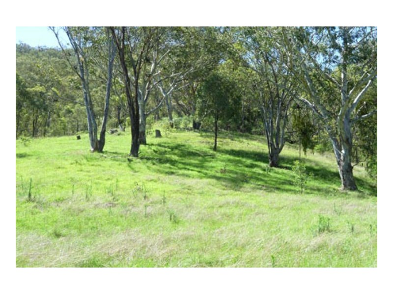 BLACKWATCH GALLAWAY STUD, Tamworth NSW 2340
