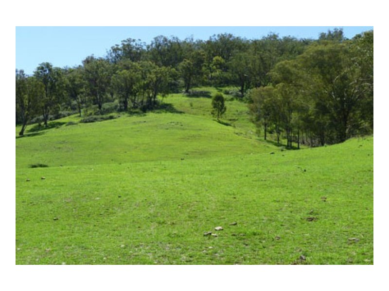 BLACKWATCH GALLAWAY STUD, Tamworth NSW 2340