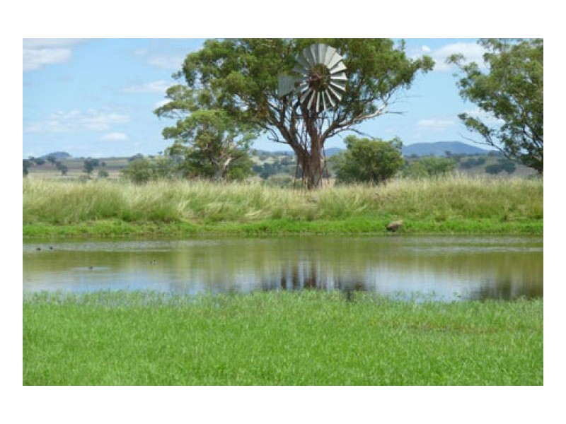 BILOELA, Tamworth NSW 2340