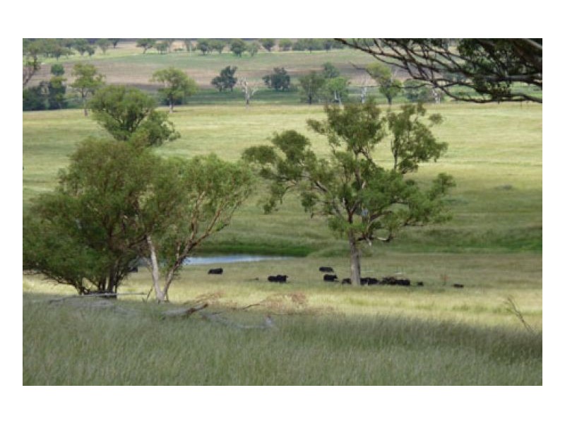 BILOELA, Tamworth NSW 2340