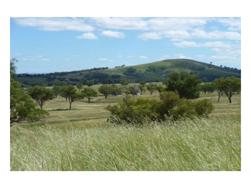 BILOELA, Tamworth NSW 2340