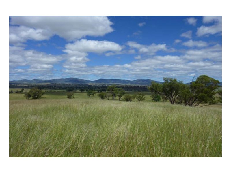 BILOELA, Tamworth NSW 2340