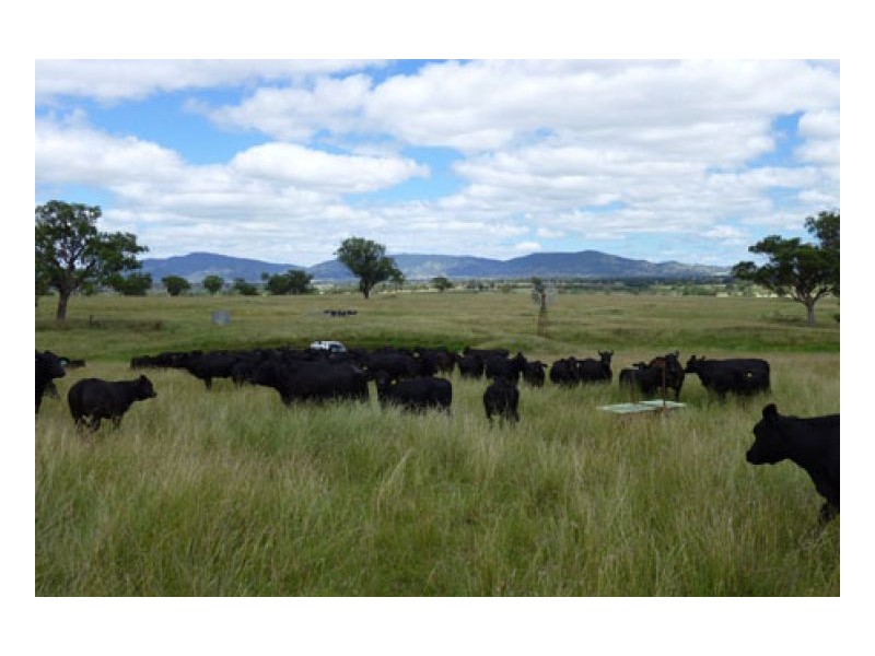 BILOELA, Tamworth NSW 2340