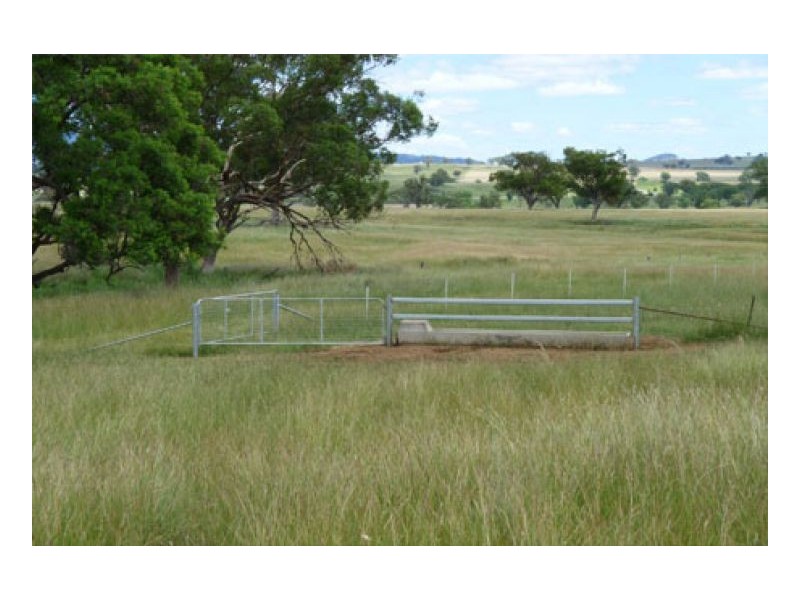 BILOELA, Tamworth NSW 2340