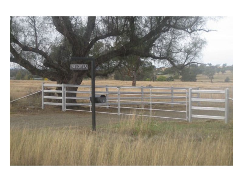 BILOELA, Tamworth NSW 2340