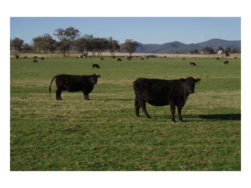 WOODLANDS, Tamworth NSW 2340