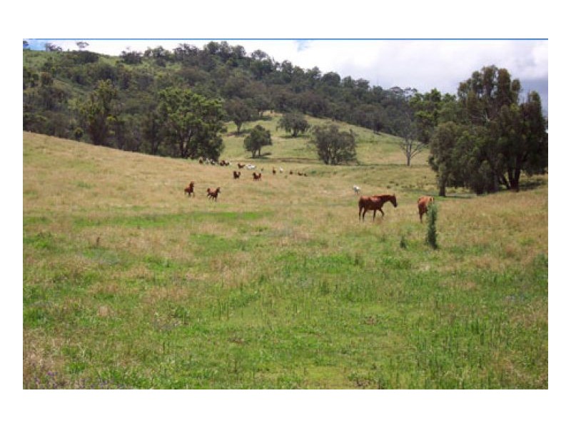 WAVERLEY, Tamworth NSW 2340