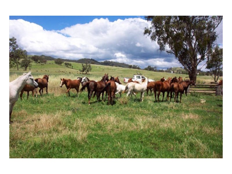 WAVERLEY, Tamworth NSW 2340