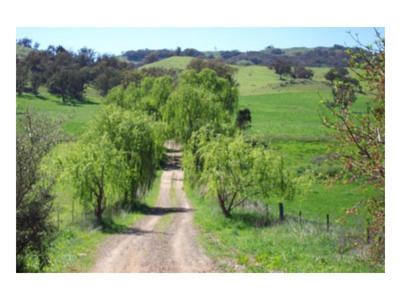 WAVERLEY, Tamworth NSW 2340