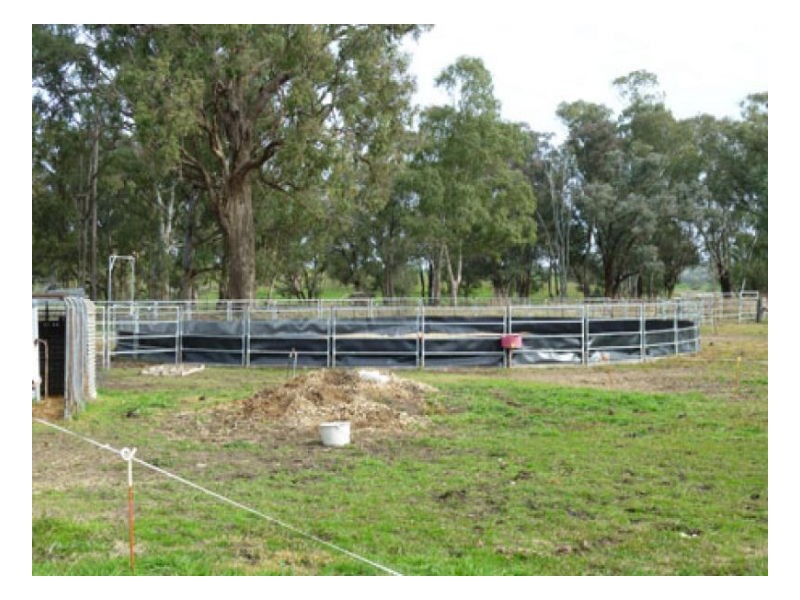 WAVERLEY, Tamworth NSW 2340