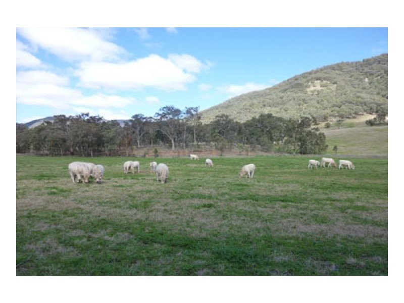 VACEY, Tamworth NSW 2340