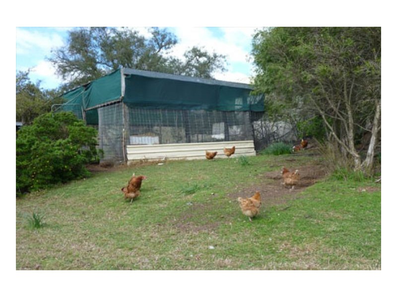 VACEY, Tamworth NSW 2340