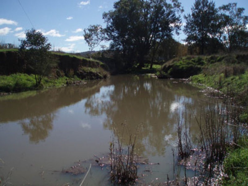 BELMONT, Tamworth NSW 2340