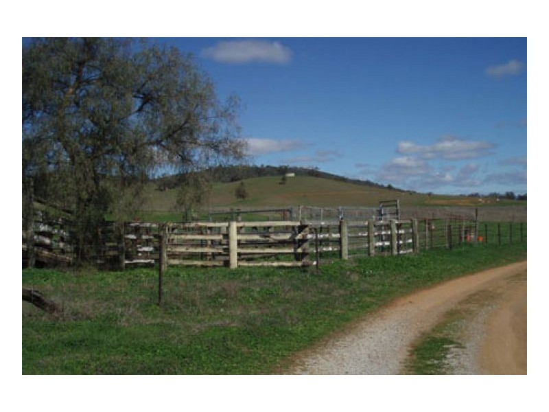 BELMONT, Tamworth NSW 2340